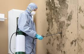 Best Real Estate Mold Inspection  in Newark, NY